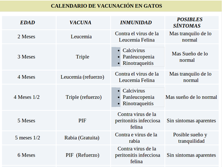 equilibrio máquina Dormido Calendario de vacunación para gatos. | Recurso educativo 727193 - Tiching
