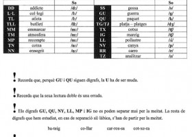 Els dígrafs - Página web de rebollengua | Recurso educativo 728035