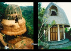 Casas mágicas hechas de bambú | Recurso educativo 730211