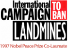 International Campaign to Ban Landmines | Recurso educativo 731833