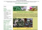 Servei de Protecció d'Espècies - Els endemismes vegetals | Recurso educativo 733022