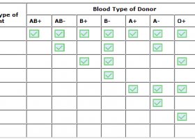 Blood Type Game | American Red Cross | Recurso educativo 733461