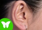 La Eduteca - Los sentidos: el oído | Recurso educativo 737361