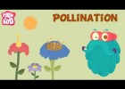 Parts of a flower and Pollination | The Dr. Binocs Show | Learn series for | Recurso educativo 738289