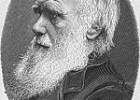 Charles Robert Darwin - Viquipèdia, l'enciclopèdia lliure | Recurso educativo 741767