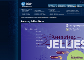 Jellies game | Recurso educativo 741961