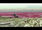 'Red tide' algal bloom | Recurso educativo 742002