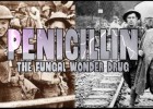 How fungi helped win the war | Recurso educativo 742006