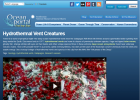 Hydrothermal Vent Ecosystem | Recurso educativo 749673