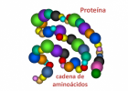 Estructura y propiedades de las proteínas | Recurso educativo 751512