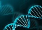 Genetica molecular | Recurso educativo 752208
