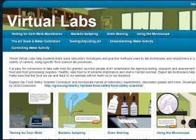 Virtual Labs | Recurso educativo 755341