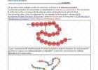 La estructura de las proteínas | Recurso educativo 755410