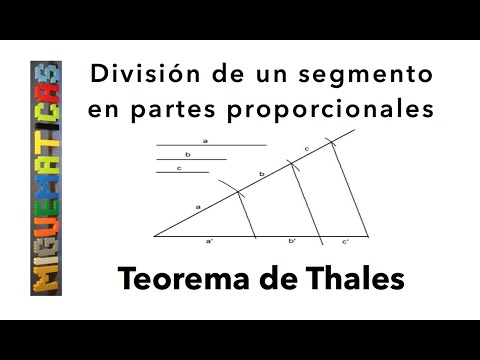 Teorema De Thales: División De Un Segmento En Partes Proporcionales ...