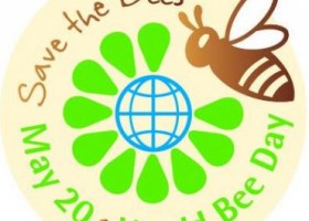 Anton Jan?a y el día mundial de protección de las abejas. Cultura de miel. | Recurso educativo 762278