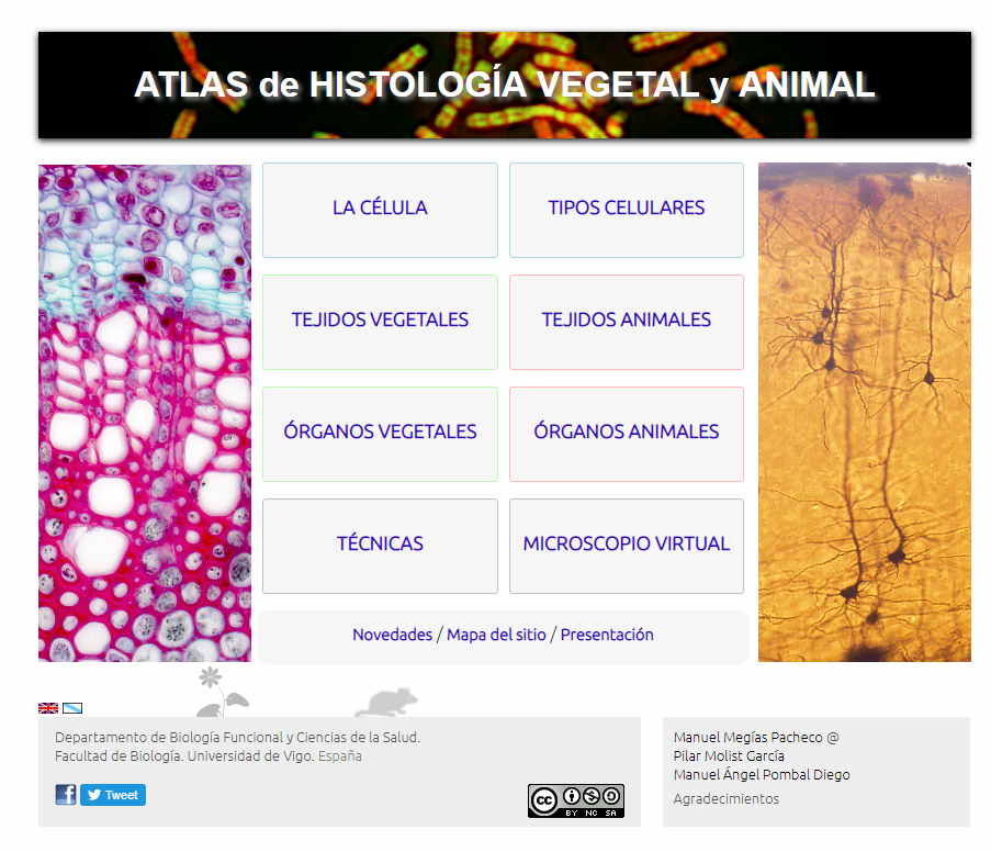 Atlas De Histología Vegetal Y Animal Recurso Educativo 773858 Tiching