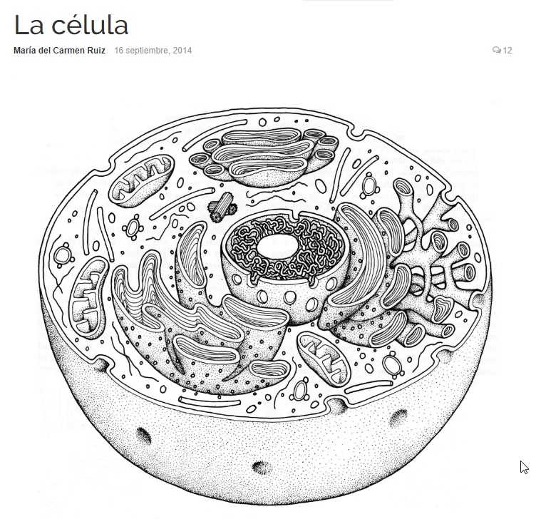 La célula Recurso educativo Tiching