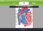 Estructura del cor | Recurso educativo 776211