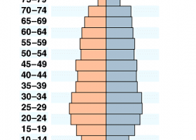 Population Pyramid - the different types | Recurso educativo 778856