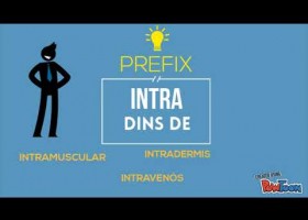 El prefix i el sufix | Recurso educativo 783084