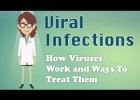 Viral Infections - How Viruses Work and Ways To Treat Them | Recurso educativo 784002