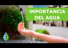 La importància de l'aigua | Recurso educativo 786177