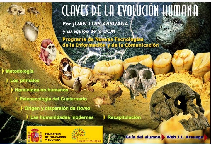 Claves Da Evolución Humana Recurso Educativo 786353 Tiching 9694