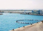 Aquaculture in Murcia | Recurso educativo 788030