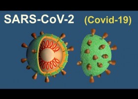El proceso de infección del SARS-CoV-2 (Covid-19) | Recurso educativo 788173