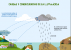 Causes i conseqüències de la pluja àcida | Recurso educativo 7901501