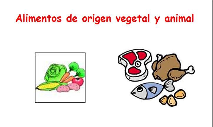 Alimentos de origen vegetal y animal | Recurso educativo 34257 - Tiching