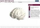 El órgano del traje gris: el cerebro | Recurso educativo 43269