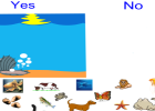 Sea animals | Recurso educativo 45698