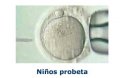 Fecundación in vitro | Recurso educativo 53579