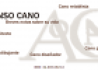 Alonso Cano | Recurso educativo 59465