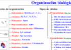 Organizaicón biológica | Recurso educativo 16150