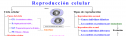 Reproducción celular | Recurso educativo 16177