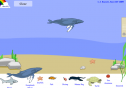 Sealife simulator | Recurso educativo 27155