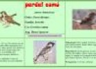 Pardal comú | Recurso educativo 28454