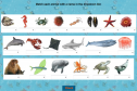 Sea creatures (matching game) | Recurso educativo 9139