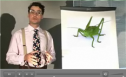 Animal idioms: Insect | Recurso educativo 62838