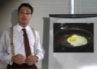 Food idioms: Egg | Recurso educativo 62983