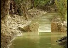 Elche, la cultura del agua | Recurso educativo 120000