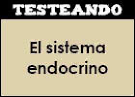 El sistema endocrino | Recurso educativo 351775