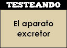 El aparato excretor | Recurso educativo 352576