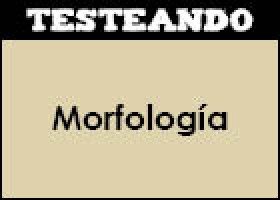 Morfología | Recurso educativo 48265