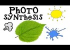 Photosynthesis: How plants make food. Science basics for kids | Recurso educativo 686192