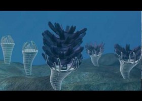 The life cycle of a jellyfish. | Recurso educativo 728584