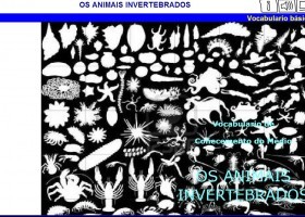 OS ANIMAIS INVERTEBRADOS | Recurso educativo 740018