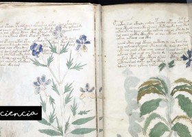 El misterioso contenido del códice Voynich | Recurso educativo 768078